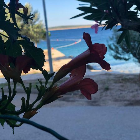 Appartamento Croatia Mandre Esterno foto