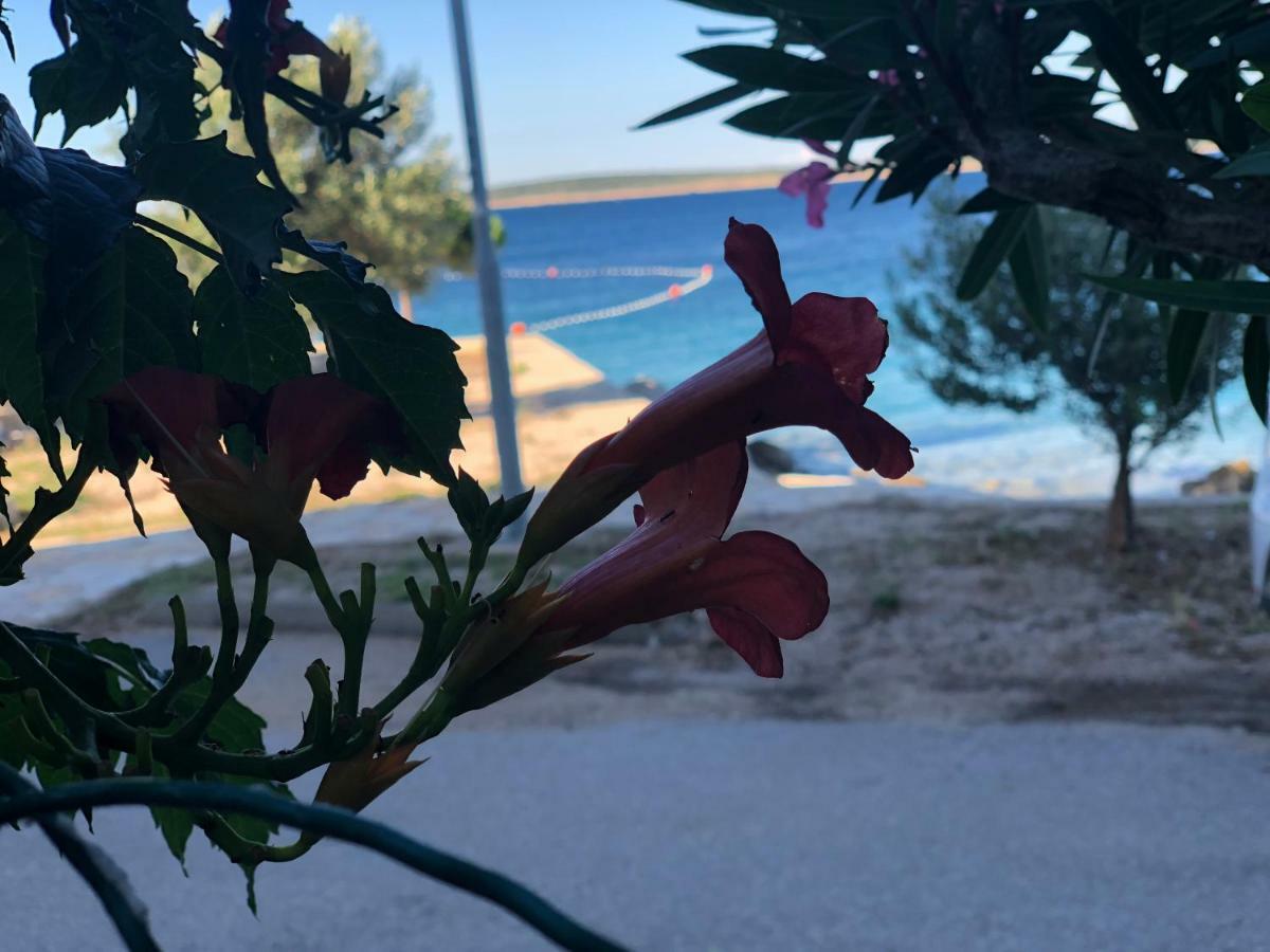 Appartamento Croatia Mandre Esterno foto