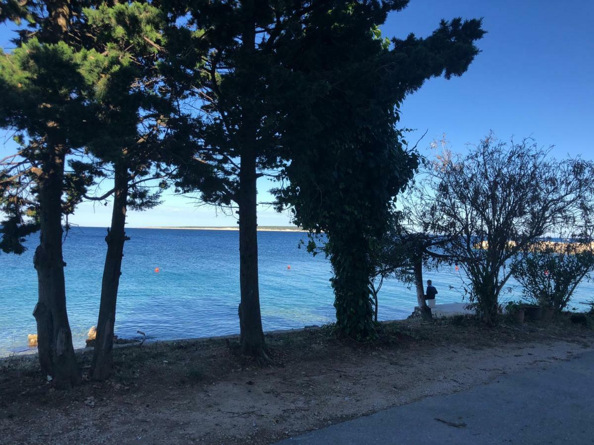 Appartamento Croatia Mandre Esterno foto